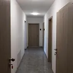 Apartment Andrea - - Free Parking