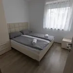 Apartment Andrea - - Free Parking *